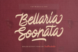 Bellaria Soonata: A Display Font for Campaign Impact