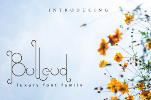 Bulleud: A Script Font for Modern Web Design