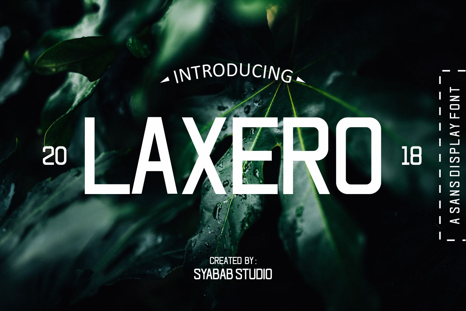 Laxero: A Bold Script Font for Web Design and Branding