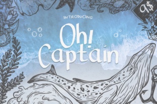 Oh Captain: A Bold Display Font That Anchors Brand Identity