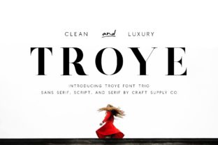 Troye Trio: A Versatile Font for Modern Web Design
